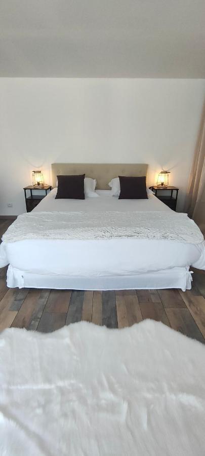 Brown Bed & Breakfast Penmarc'h Luaran gambar
